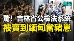 [ID: cZrJih2xjBY] Youtube Automatic