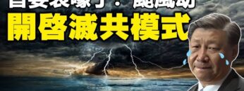 [ID: f8WndVNMGks] Youtube Automatic