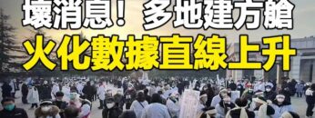 [ID: iZ3aCS2UiwI] Youtube Automatic