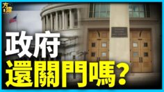 [ID: NVD7cyCt_Xw] Youtube Automatic