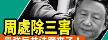 [ID: cxkW6Af1RYg] Youtube Automatic