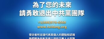 [ID: 0tOwMZDrVtM] Youtube Automatic