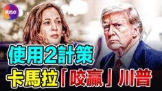 [ID: qDi_b5Klr4s] Youtube Automatic