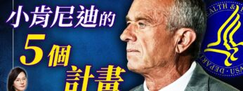 [ID: NiODe1hpT_s] Youtube Automatic