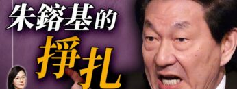 [ID: ar8xuX-XEEE] Youtube Automatic