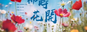 [ID: 0aovFo_PF10] Youtube Automatic