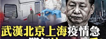 [ID: 7_CtSTZBtzU] Youtube Automatic