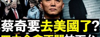 [ID: bReYJUCati8] Youtube Automatic