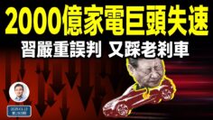 私密：[ID: Q_7ElBp-nFc] Youtube Automatic