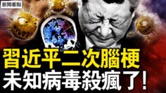 [ID: 4EiC73DHk6g] Youtube Automatic