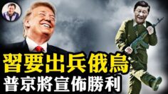 私密：[ID: 6NNn7Zjqd7c] Youtube Automatic