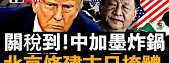 [ID: EYoVR8D39ck] Youtube Automatic