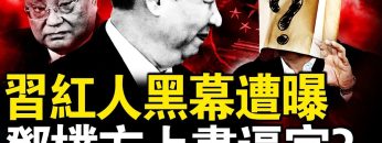 [ID: mRul0P7_SdI] Youtube Automatic