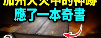 [ID: rN_Qosw-m3o] Youtube Automatic