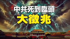 [ID: s3jCJL4cFMg] Youtube Automatic