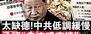 私密：[ID: k70e2qGYL9o] Youtube Automatic