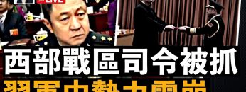 [ID: pzjt9s8X9dM] Youtube Automatic