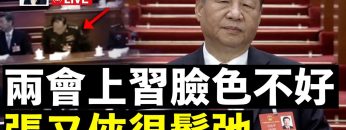 [ID: X-QfFXm4nqQ] Youtube Automatic