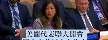 私密：[ID: InxeVhZ4LNM] Youtube Automatic