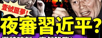 私密：[ID: sMW9KhMuCRE] Youtube Automatic