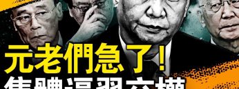 [ID: 13ghAcn2O-g] Youtube Automatic