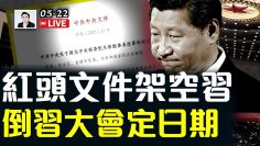 [ID: _cNYVNmkWlg] Youtube Automatic