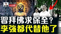 私密：[ID: hhECOXjK3dc] Youtube Automatic