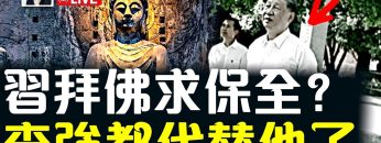 私密：[ID: hhECOXjK3dc] Youtube Automatic