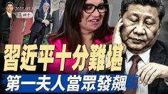 [ID: MnGtg7Q0-zs] Youtube Automatic