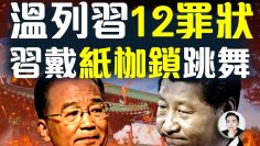 [ID: oHujavQZL2U] Youtube Automatic