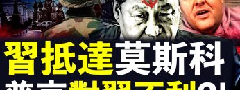 [ID: wtYflbNrVMo] Youtube Automatic