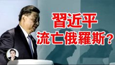 私密：[ID: 07kJo-dO9mQ] Youtube Automatic