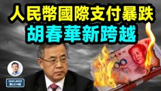 私密：[ID: 8zV4iP4ygrc] Youtube Automatic