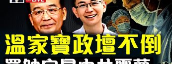 [ID: 9A84EFg419A] Youtube Automatic