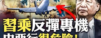 私密：[ID: fl2hlDKfV0w] Youtube Automatic