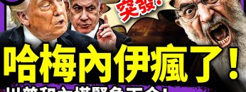 私密：[ID: NQR63mz7yRg] Youtube Automatic