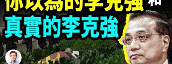 [ID: Clk_-fI0TUE] Youtube Automatic