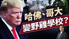 [ID: m4BDbhnA9T0] Youtube Automatic