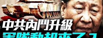 [ID: mjDq2-2j1AY] Youtube Automatic