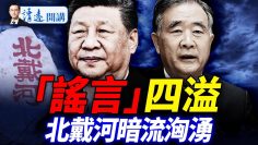 [ID: tmI2cRyn1mQ] Youtube Automatic