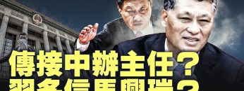 [ID: wuU7s8E5brU] Youtube Automatic