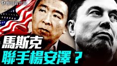 私密：[ID: y0sHYF530Aw] Youtube Automatic