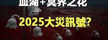 [ID: AxFshETepS0] Youtube Automatic