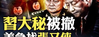 私密：[ID: xsNA6FVZIa4] Youtube Automatic