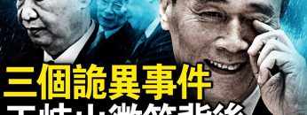 [ID: BRFz0OBEnZ0] Youtube Automatic