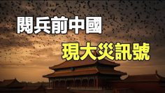 [ID: nR6fsUo3Qjo] Youtube Automatic