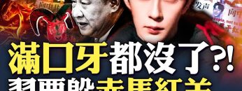 [ID: D6mFNsWT2ug] Youtube Automatic