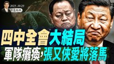 私密：[ID: kOaT4eHM_Xw] Youtube Automatic