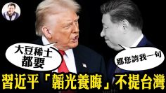 [ID: NUSyft6gx5s] Youtube Automatic