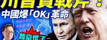 [ID: qHMBNpUTfD0] Youtube Automatic